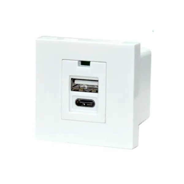 Dual Port TypeA+C USB-laddaruttagsmodul